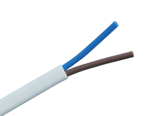 300v RVV RVV 電線ワイヤル PVC保温と銅導体4.0mm