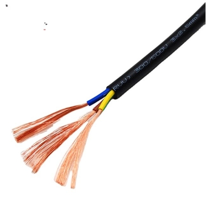 300v RVV RVV 電線ワイヤル PVC保温と銅導体4.0mm